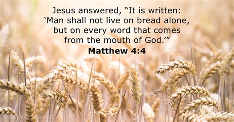 Matthew 44 in all English translations. . Matthew 4 esv